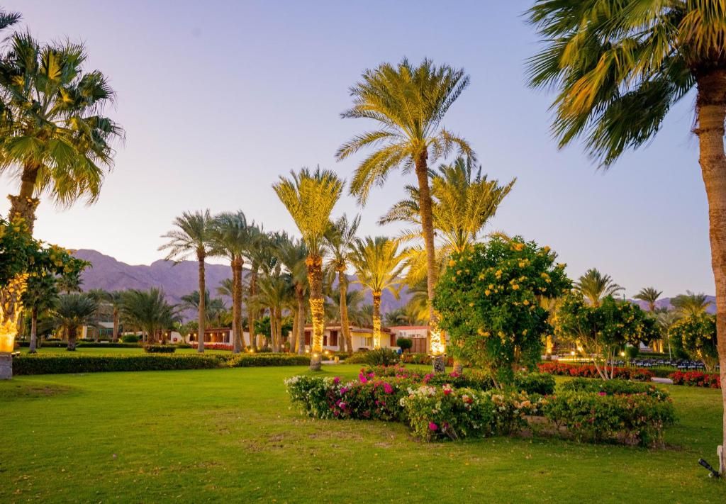 Nuweiba Club Resort фото 67