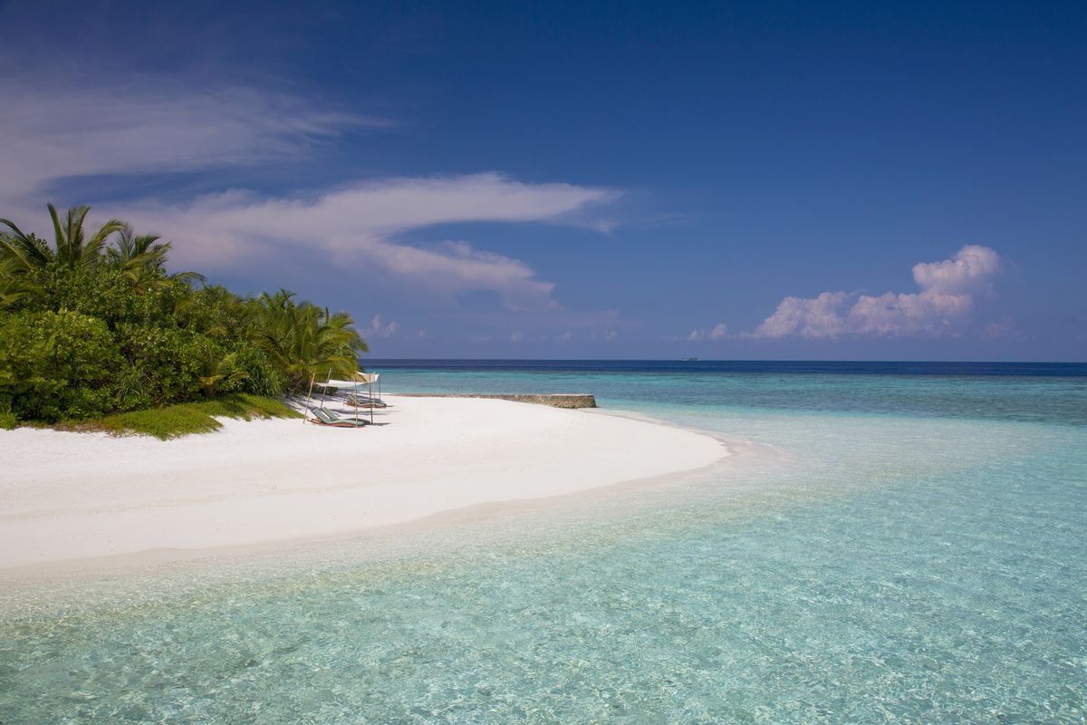 Coco Bodu Hithi фото 7