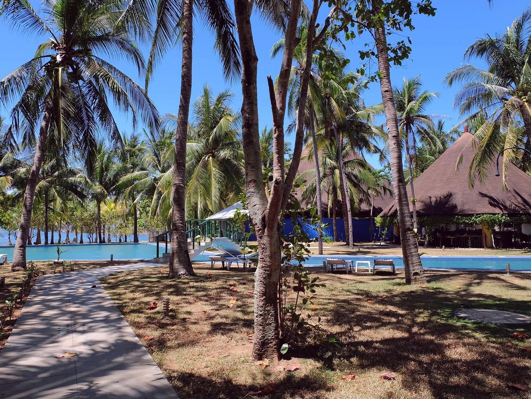 Cordova Reef Village Resort фото 15