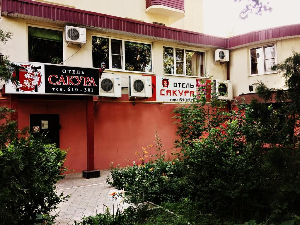 Сакура фото 17
