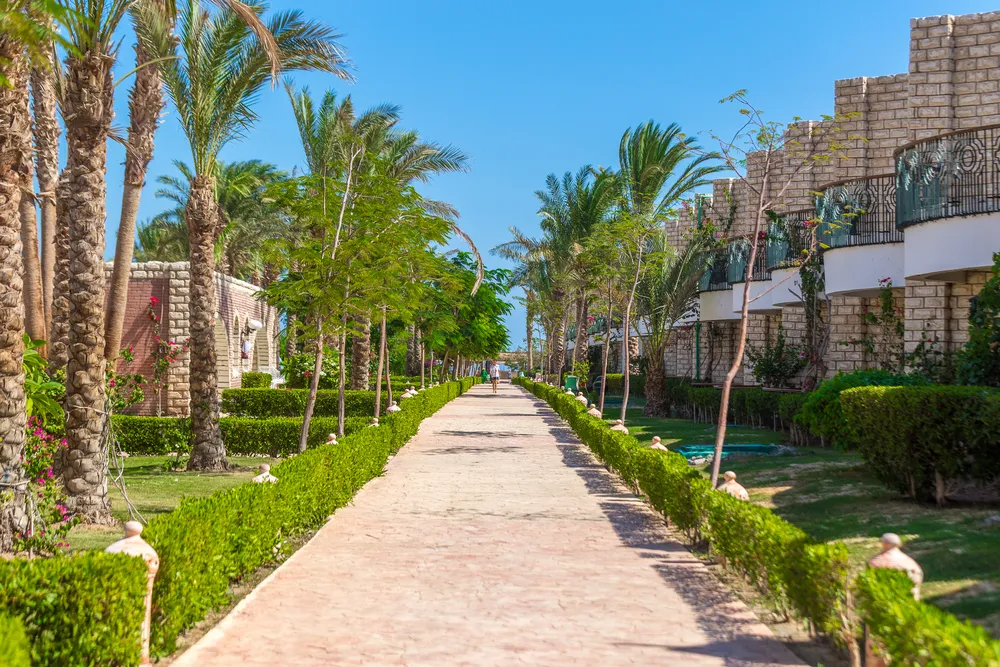 Aladdin Beach Resort фото 154