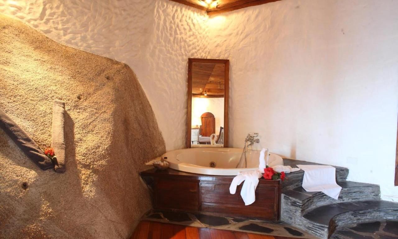 Chauve Souris Relais фото 14