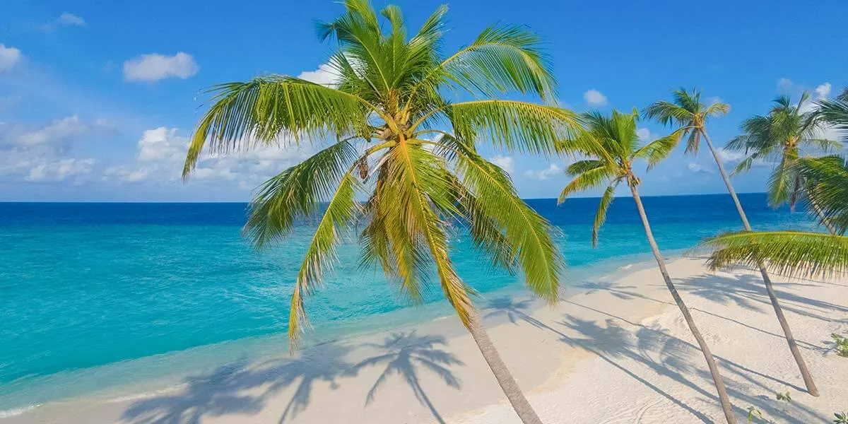 Milaidhoo Island Maldives фото 11