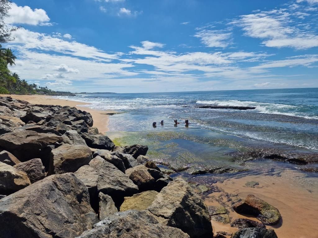 Panorama Beach Hotel фото 40