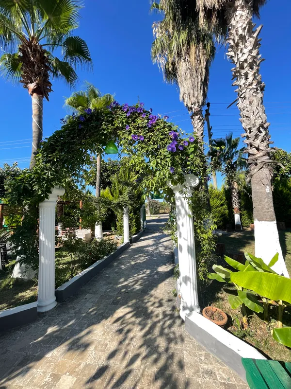 Hotel Dream of Side фото 72