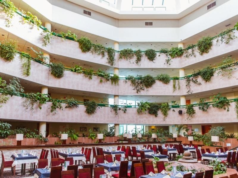 Отель Holiday Inn Москва Виноградово фото 4