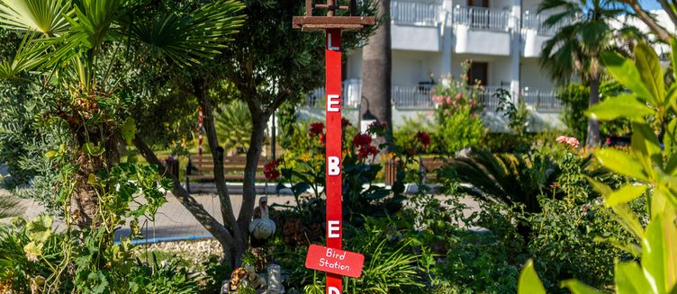 Фото отеля Labranda Lebedos Princess