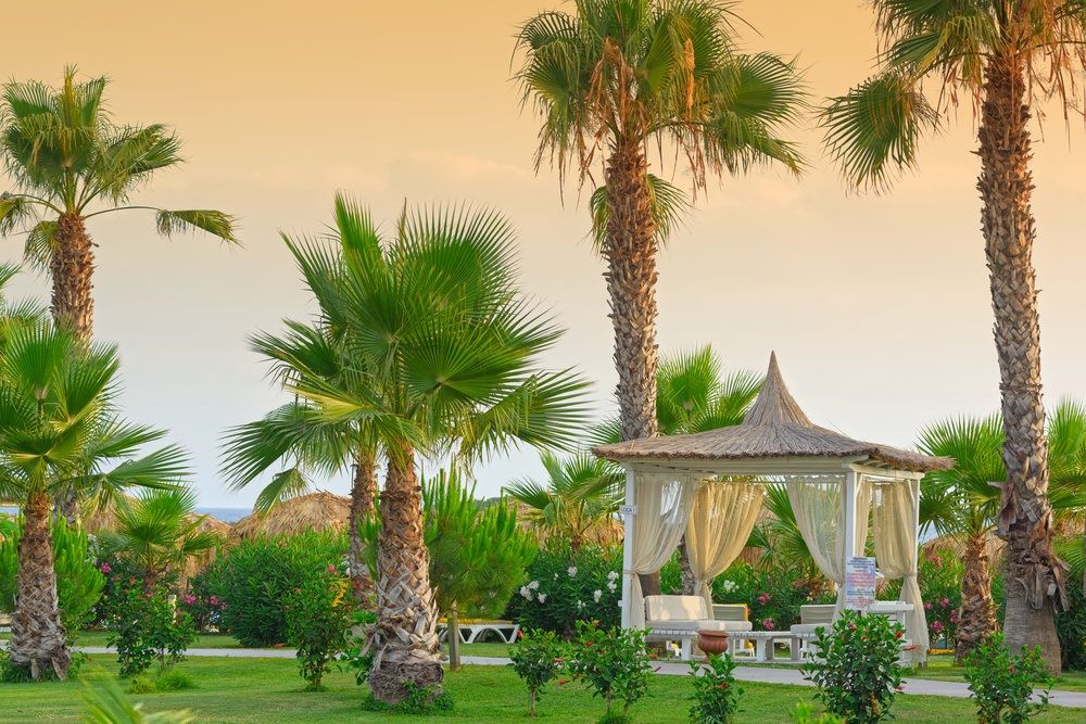Justiniano Club Park Conti фото 231