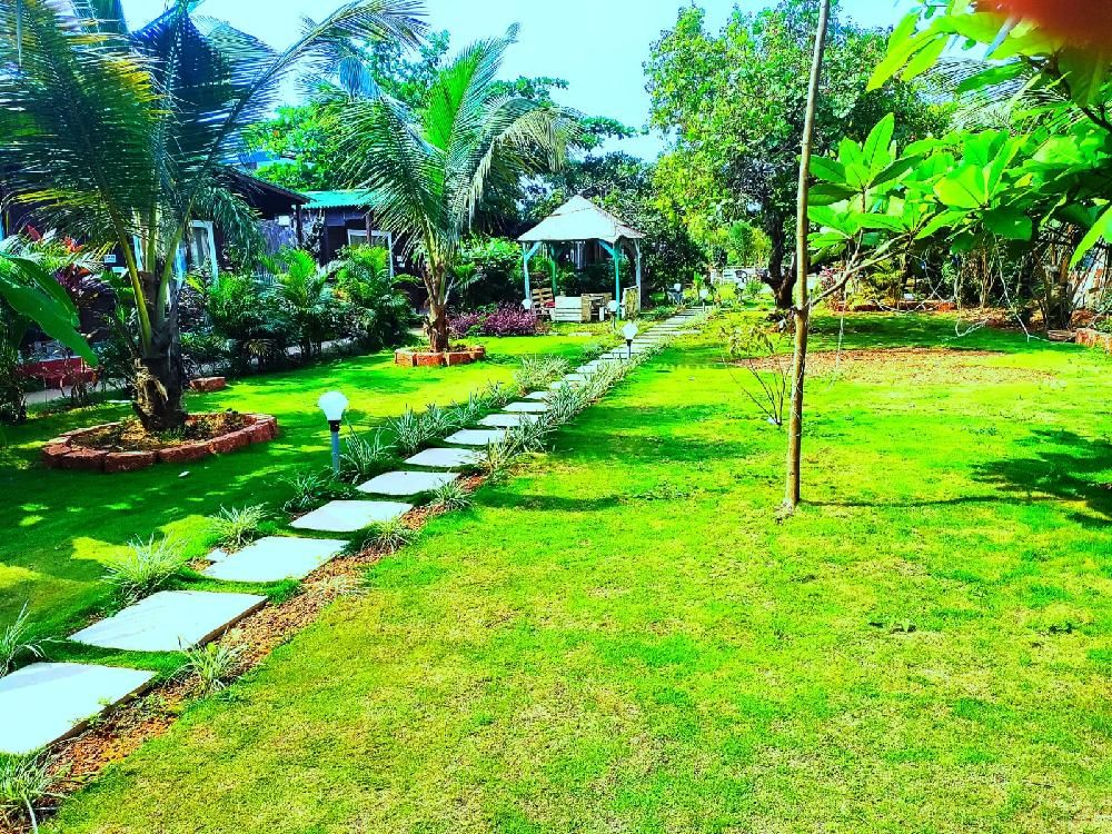 Arambol Lake Resort фото 36