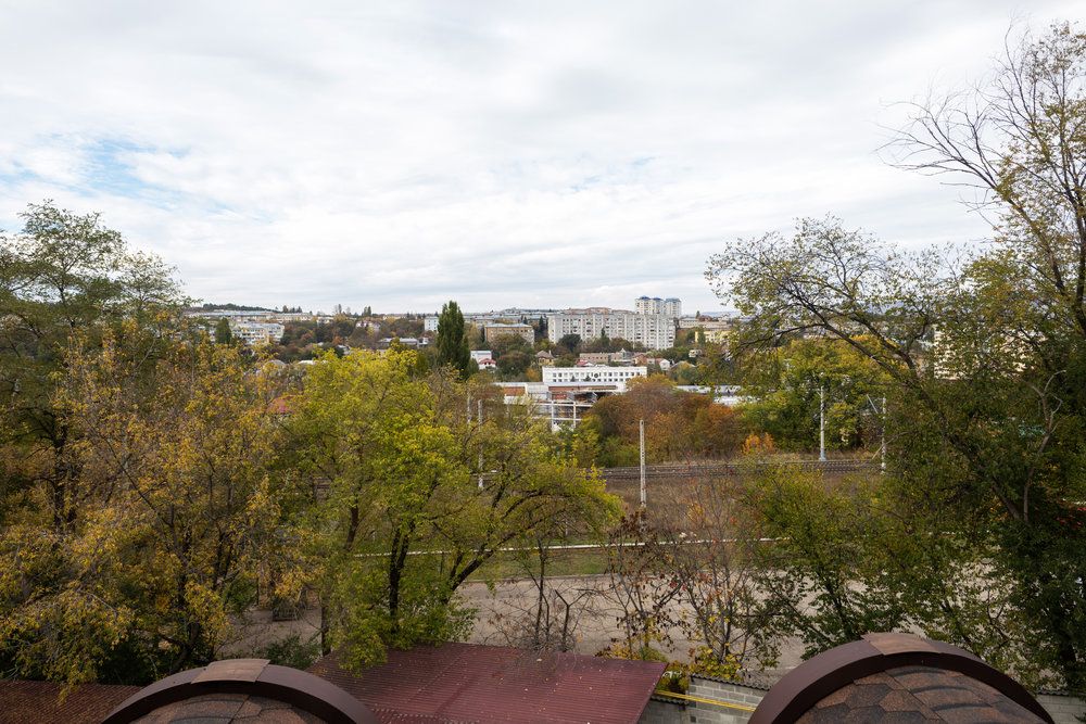 Сканди фото 57