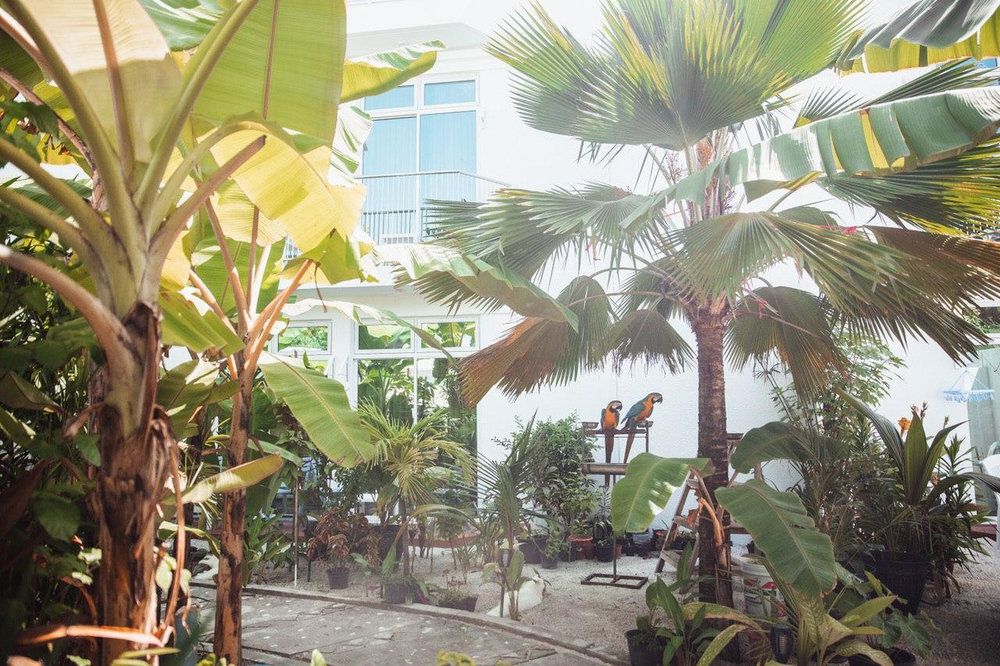 PERLA Dhangethi фото 43