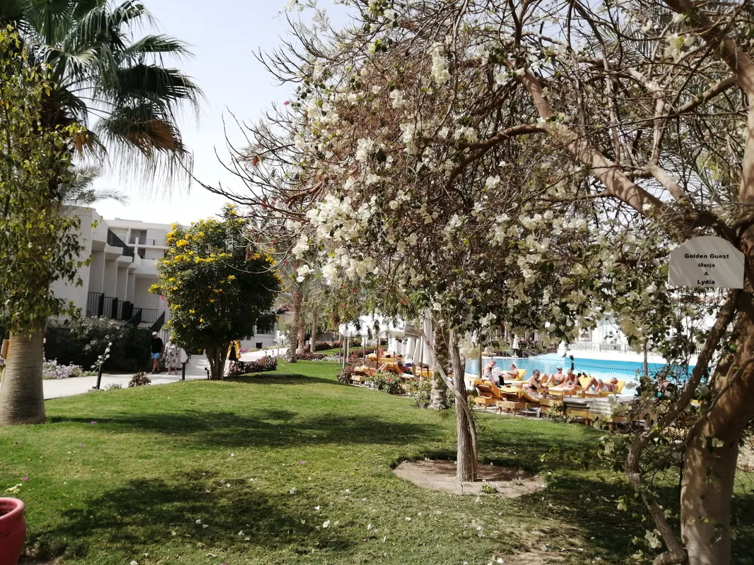 The Three Corners Sunny Beach Resort фото 28