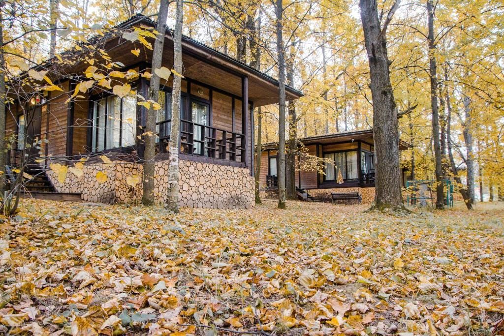 Гостиница «Foresta Festival Park» фото 146