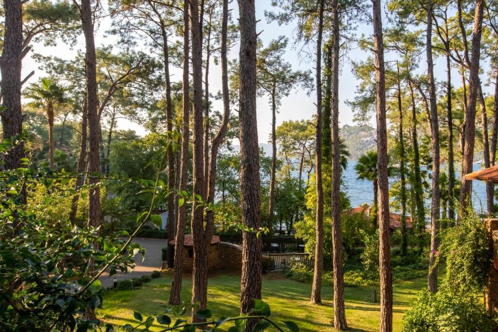 Marmaris Bay Resort (Adults Only) фото 93
