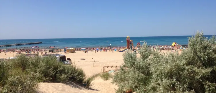 Фото отеля Green Plaza