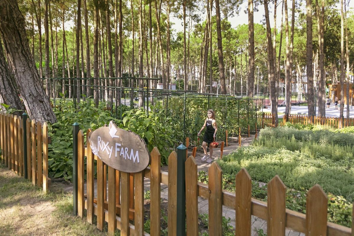 Rixos Sungate Club Diamond фото 19