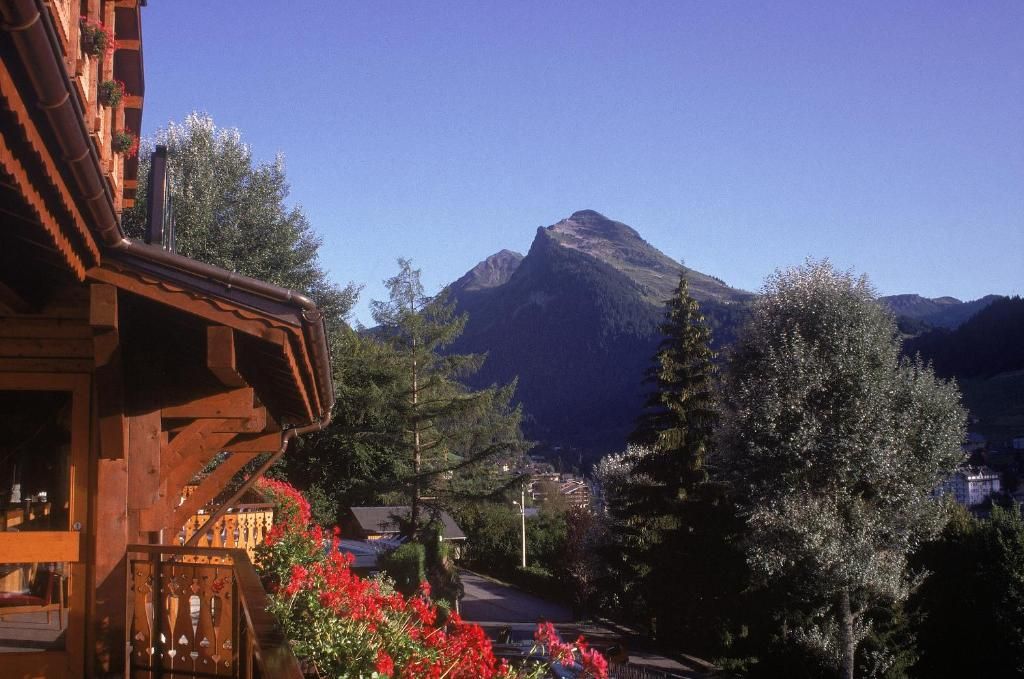 Le Dahu Hotel-Chalet de Tradition фото 21