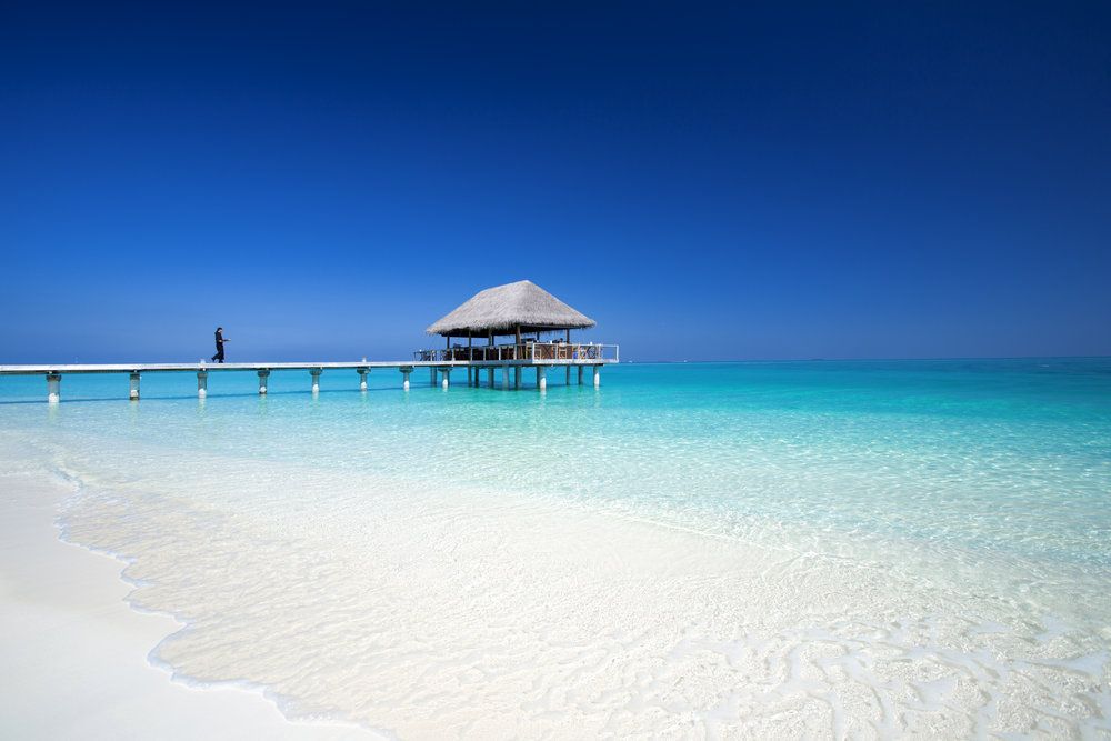 Niva Velassaru Maldives фото 94