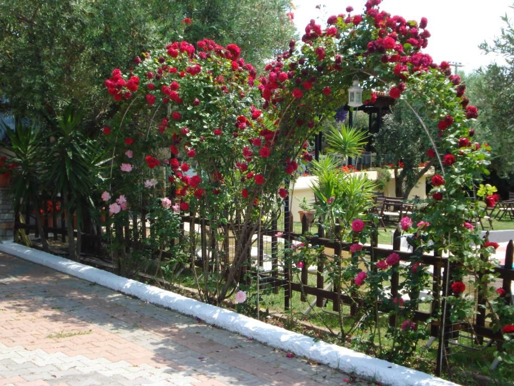 Asteris Village фото 3