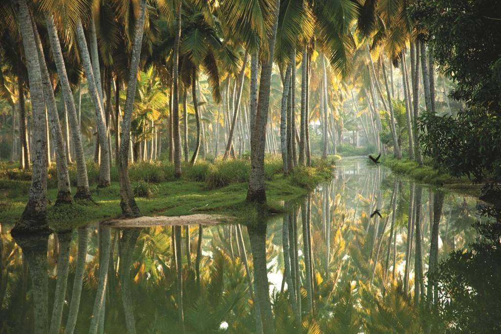 Isola Di Cocco Ayurvedic Heritage Beach Resort фото 41