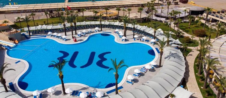 Фото отеля Palm Garden