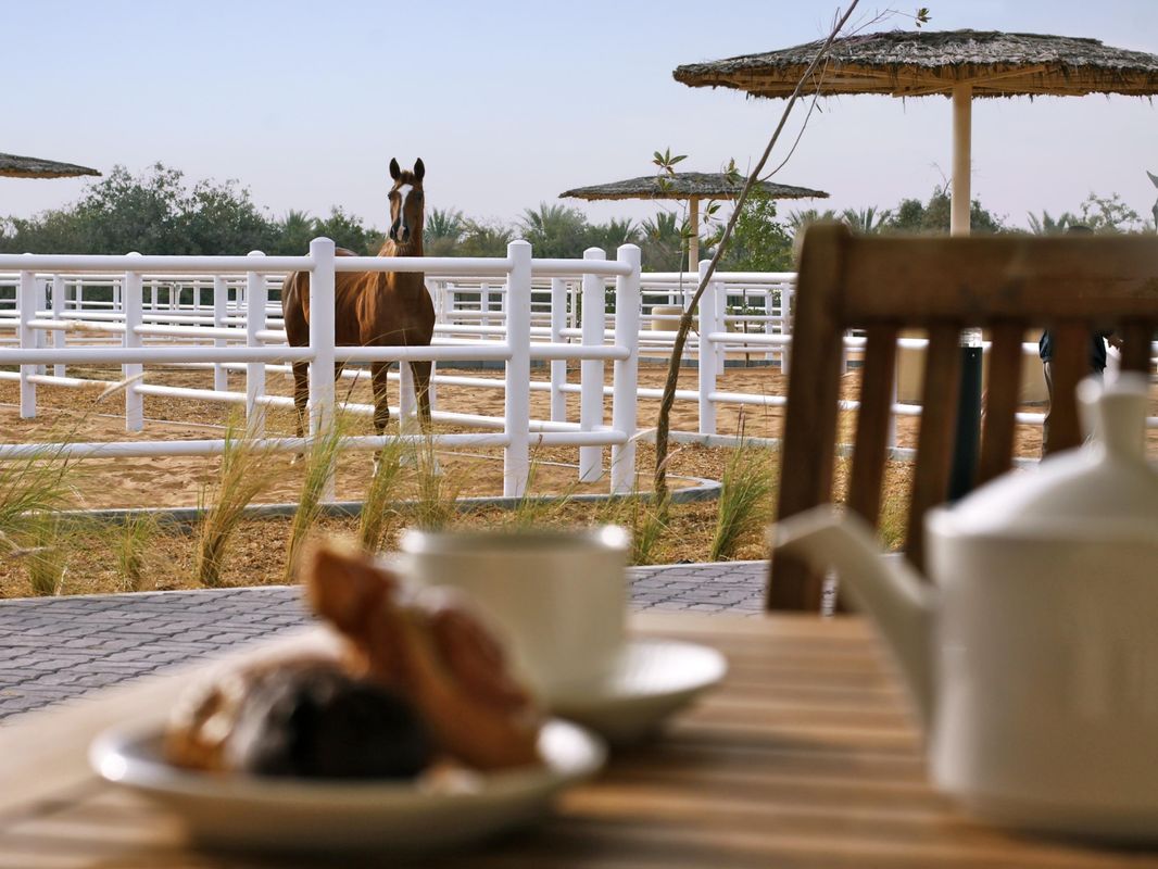 Anantara Sir Bani Yas Island Al Sahel Villa Resort фото 21