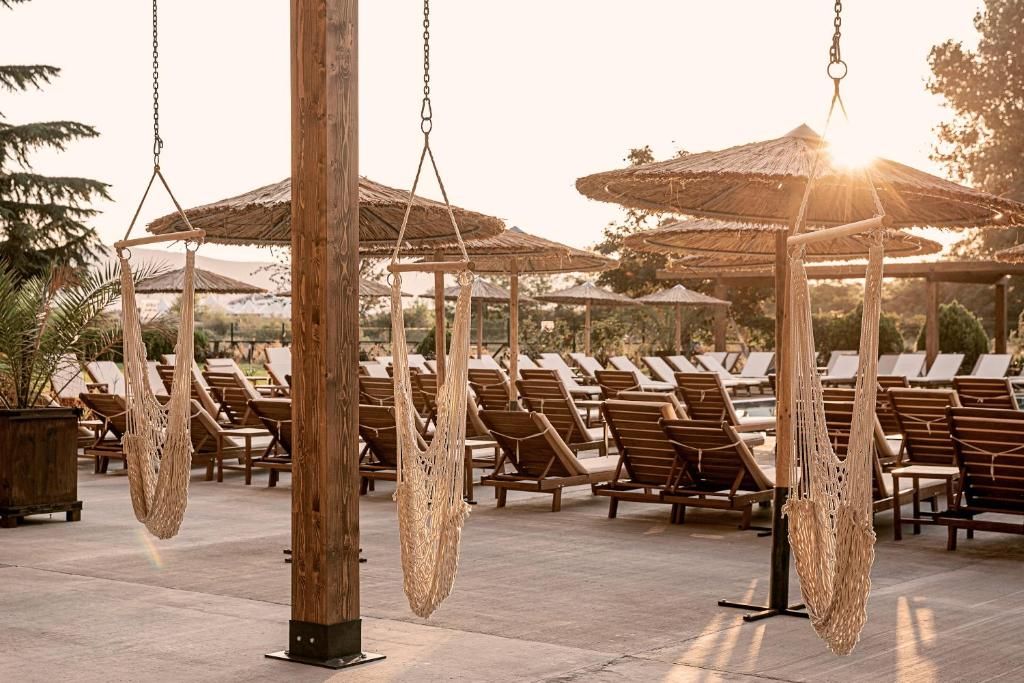 Cook's Club Sunny Beach фото 11