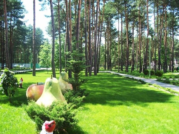 Санаторий «АСБ Санаторий Солнечный» фото 5
