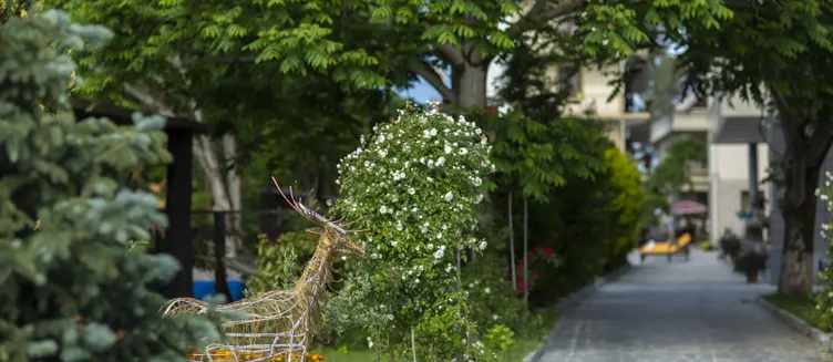 Фото отеля Hotel Chveni Ezo