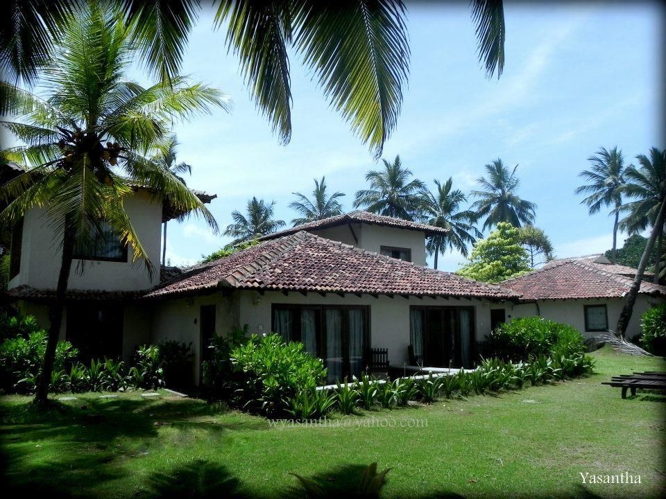 Kosgoda Beach фото 4