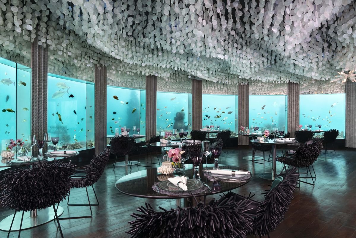 Niyama Private Islands Maldives фото 13