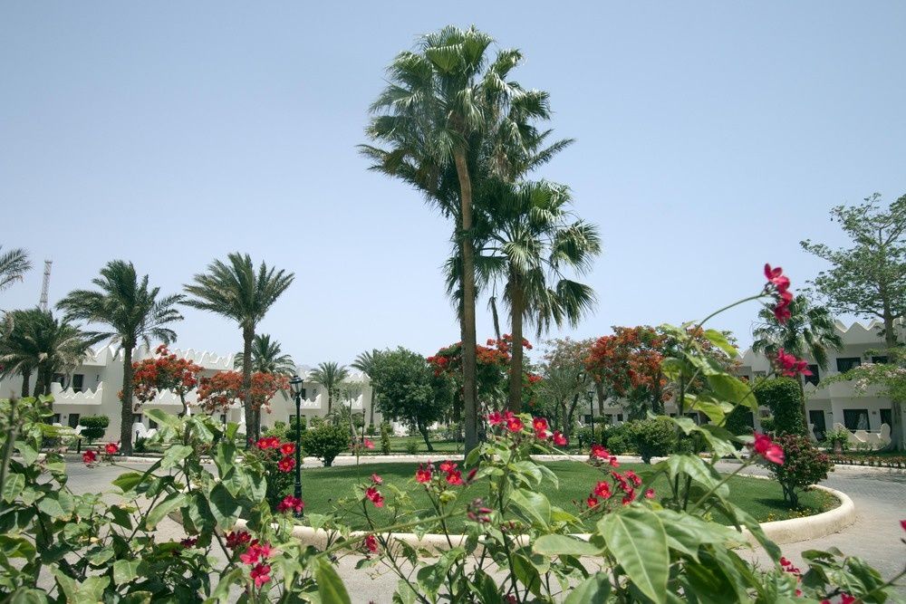 Swiss Inn Resort Dahab фото 85
