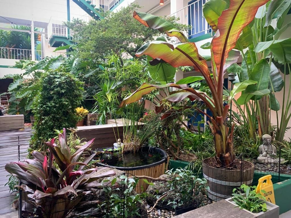 Oasis Inn фото 16
