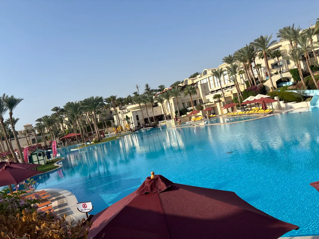 Grand Rotana Resort & Spa фото 74