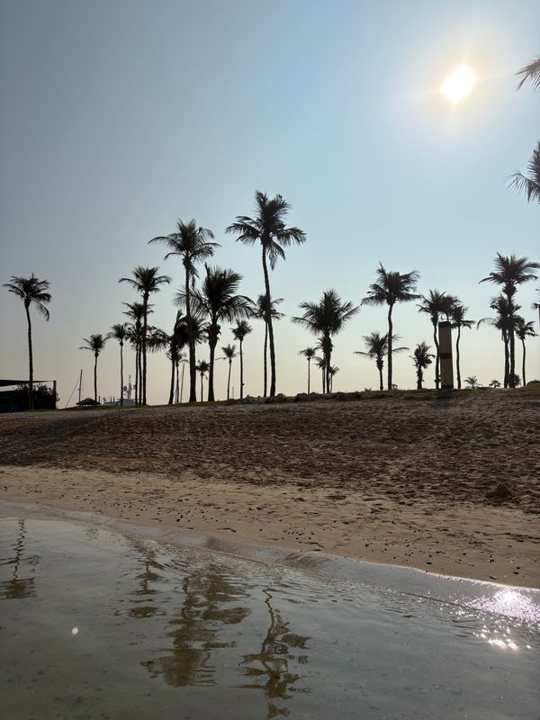 JA Beach Hotel фото 39