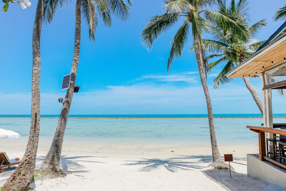 Chaweng Regent Beach Resort фото 33