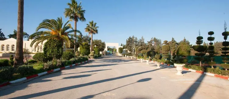 Фото отеля Sol Palmeras Beach