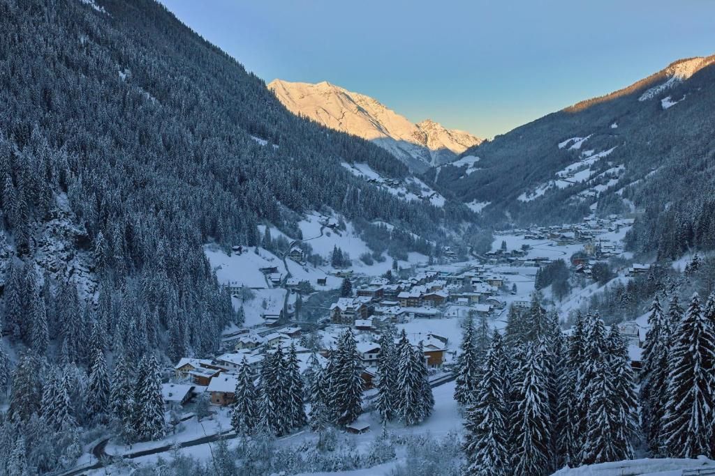 Alpenkoenigin фото 18