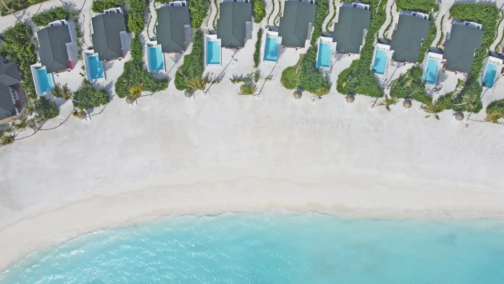Joy Island фото 35