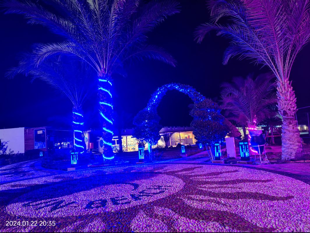 Coral Sun Beach фото 46