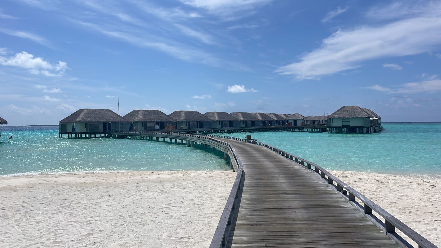 Niva Velassaru Maldives фото 61