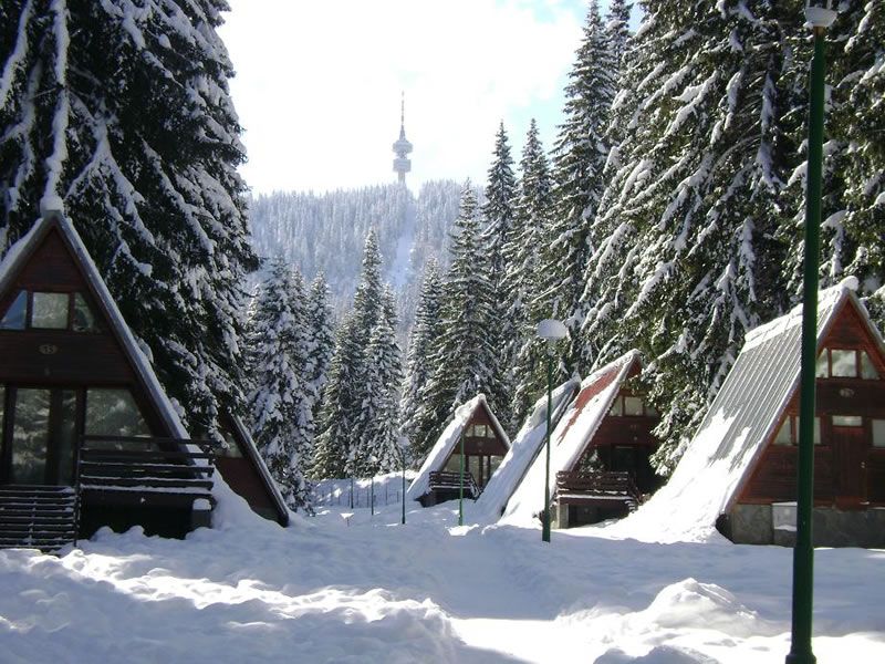 Malina Village фото 2
