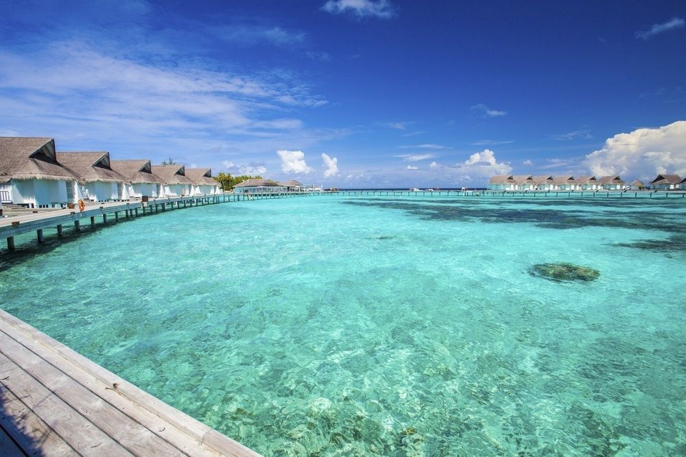 Machchafushi Island Resort & Spa Maldives, The Centara Collection фото 108