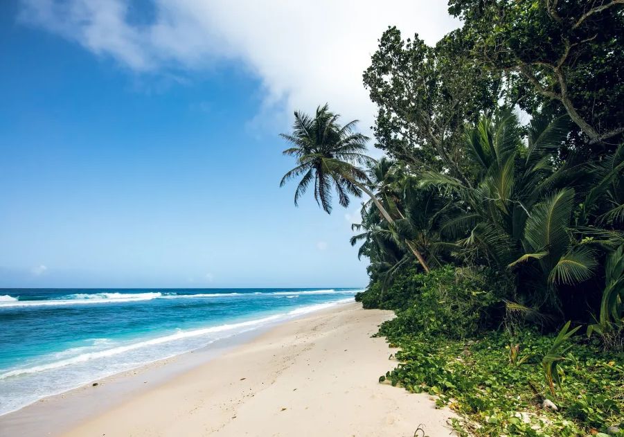 Niva Labriz Seychelles фото 18