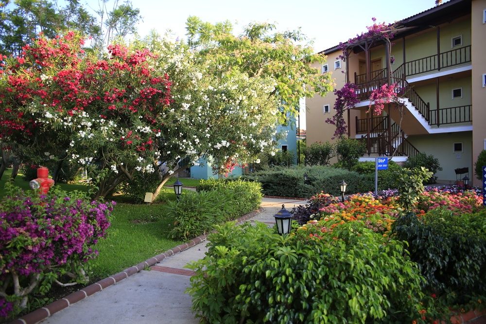 Gypsophila Holiday Village фото 114