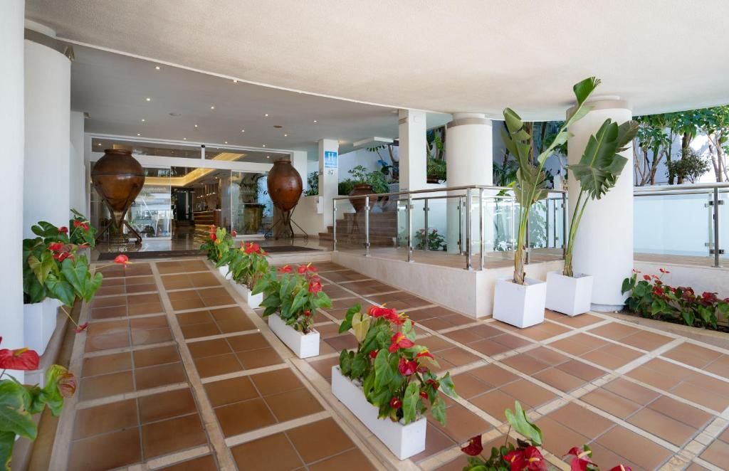 MS Aguamarina Suites фото 8