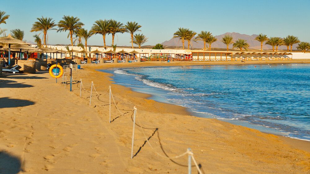 Coral Sun Beach фото 69