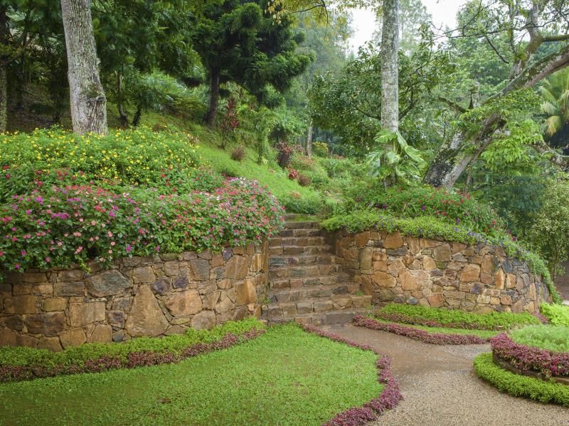 Amaya Bungalow Kandy фото 3