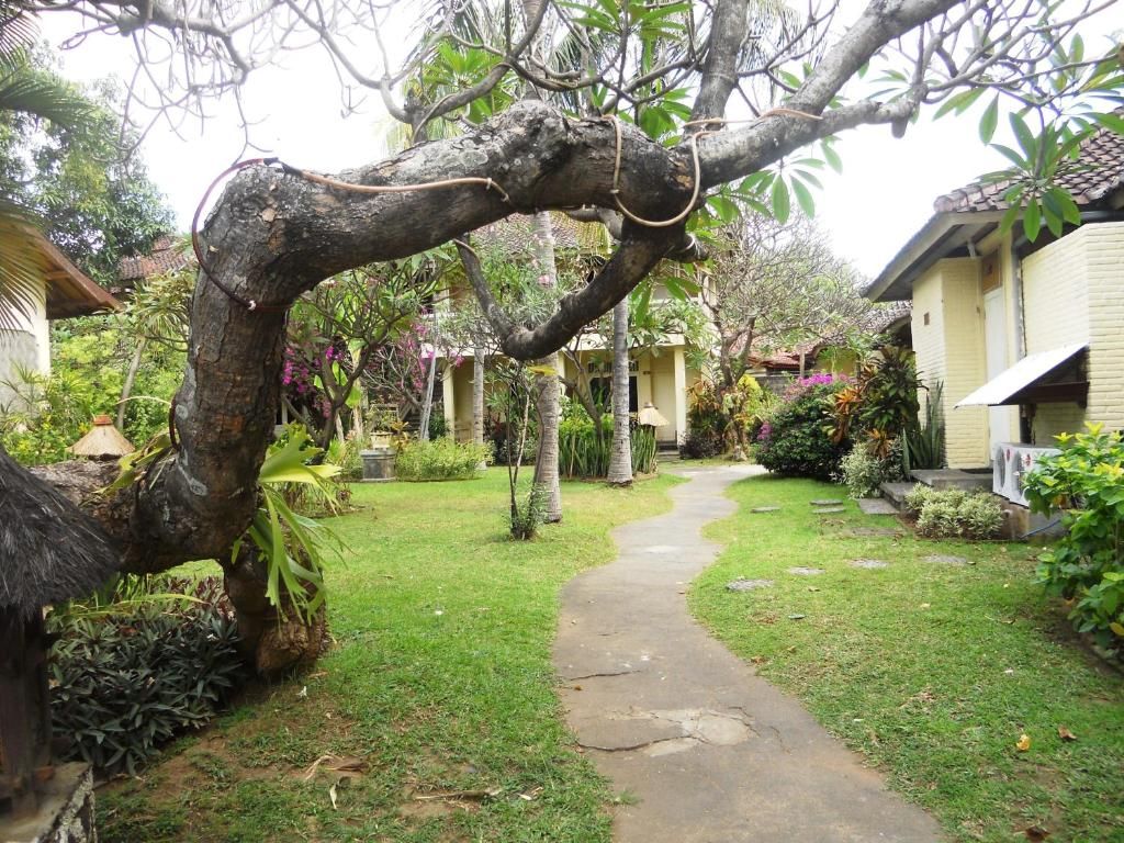 Bali Lovina Beach Cottage фото 22