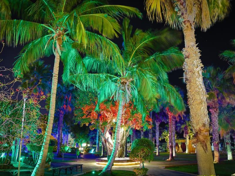 Sandy Beach Hotel & Resort фото 106